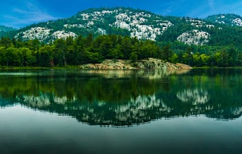 Body of Water Surround by Trees Under Blue Sky