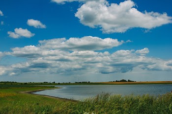 Body of Water Surrounded by Green Grass Field during Dayitme