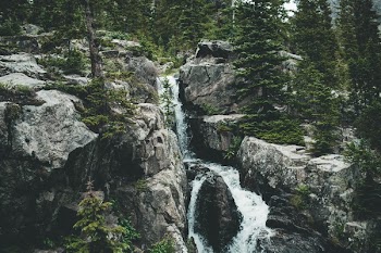 Body of Water Surrounded by Tall Green Trees