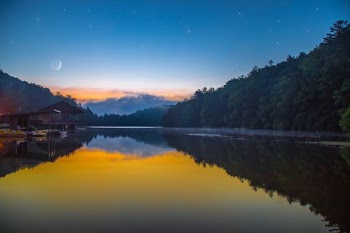 body of water surrounded of trees