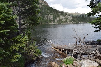 Body of Water Surrounded With Green Trees