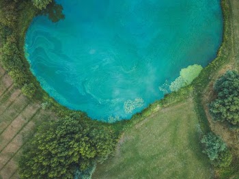 body of water surrounded with trees