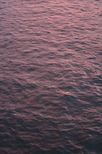 Body of Water View