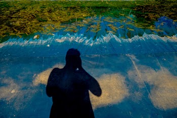Body of Water With Leaves