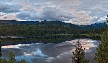 Body of Water With Trees and Mountain As Background Photography