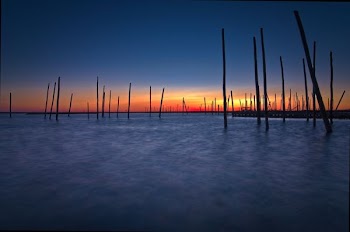body of water with wooden sticks