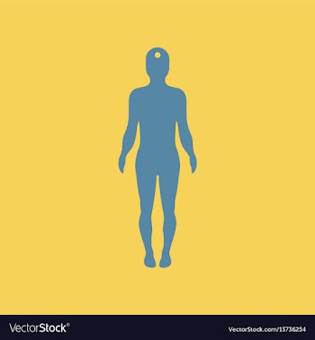 Body stroke point on human vector image
