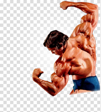 Bodybuilding Transparent Background