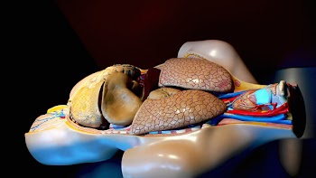 bodyCN_0149.jpg