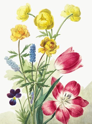 Boeket van tulpen, viooltjes, blauwe druifjes en dotters (ca. 1763&ndash;1825) in high resolution by Willem van Leen. Original from The Rijksmuseum. Digitally enhanced by rawpixel.