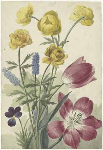 Boeket van tulpen, viooltjes, blauwe | Free Photo - rawpixel