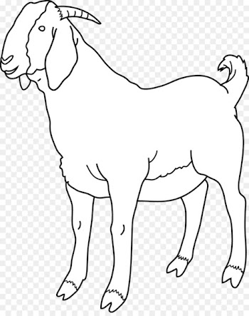 Boer goat Black Bengal goat Sheep Clip art - Free Goat Clipart 