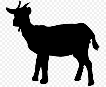 Boer goat Black Bengal goat Silhouette Clip art - goat vector 