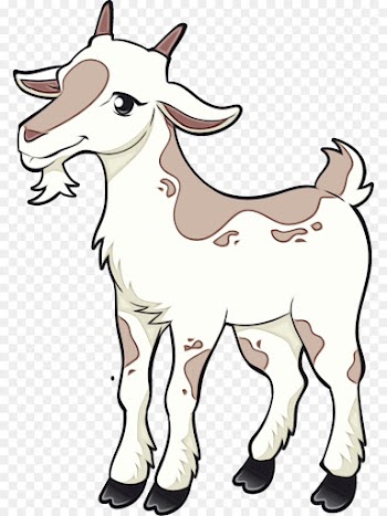 Boer Goat, Sheep, Livestock, Vertebrate, Mammal PNG