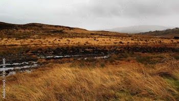 boggy filds in the mountains, turf staks, Connemara, Galway, Ireland