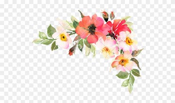 Bohemian Flower Cliparts - Transparent Watercolor Roses Red