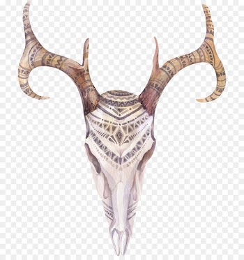 Boho-chic Watercolor painting Photography - skull 