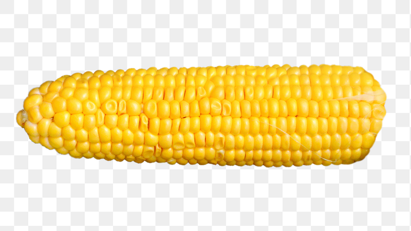 Boiled corn png sticker, transparent | Free PNG - rawpixel