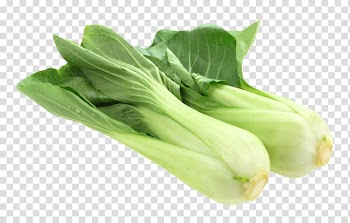Bok choy Vegetable, Fresh Bok Choy transparent background PNG clipart