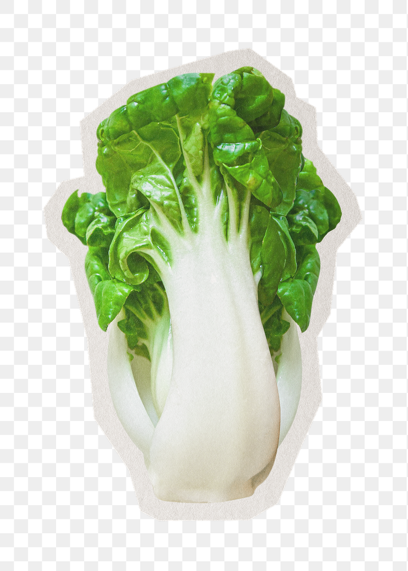 Bokchoi png sticker, paper cut | Free PNG - rawpixel
