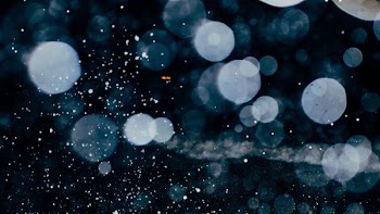 bokeh effects wallpaper