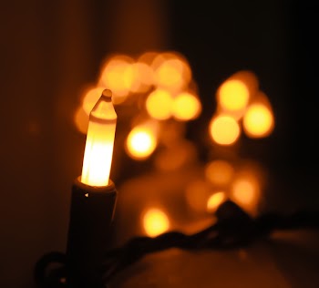Bokeh Photography Of String Light
