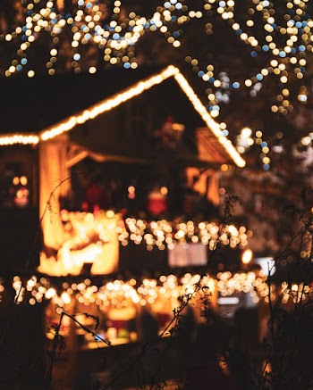 Bokeh Photography of String Lights