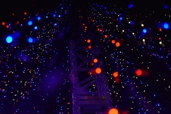 bokeh photography of structure