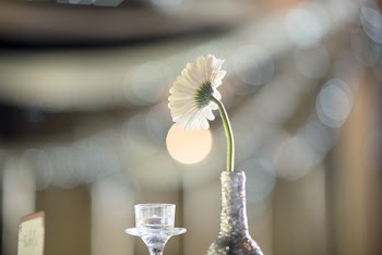 Bokeh Photography of White Daisy Flower in Silver Glitter Bottle
