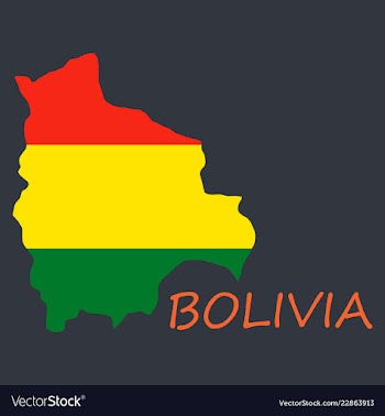 Bolivia flag map vector image
