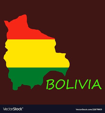 Bolivia flag map vector image