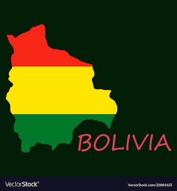 Bolivia flag map vector image