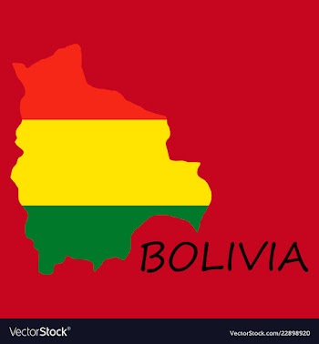 Bolivia flag map vector image