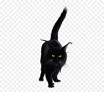 Bombay cat Black cat Clip art Portable Network Graphics Image - souvent fleur chauvesouris 