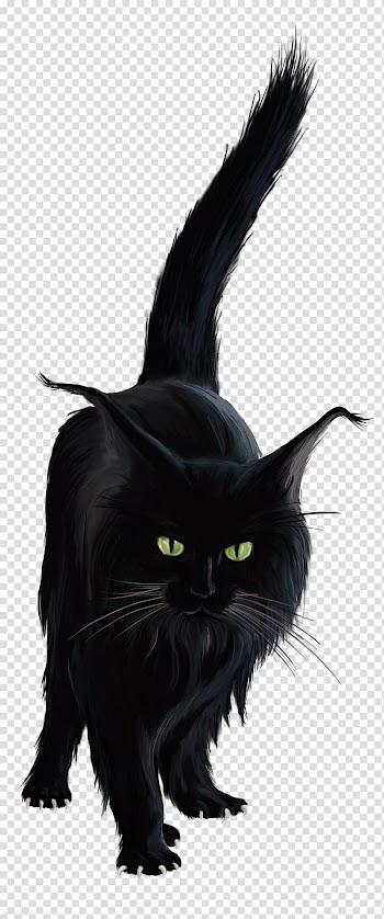 Bombay cat Black cat Norwegian Forest cat Kitten , kitten transparent background PNG clipart
