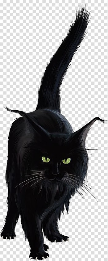 Bombay cat Black cat Norwegian Forest cat Kitten , kitten transparent background PNG clipart