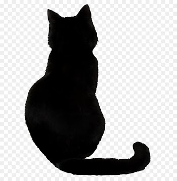 Bombay Cat, Savannah Cat, Le Chat Noir, Cat, Black Cat PNG