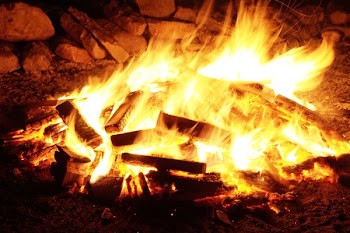 Bon Fire With Firewood Lot
