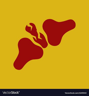 Bone fracture vector image