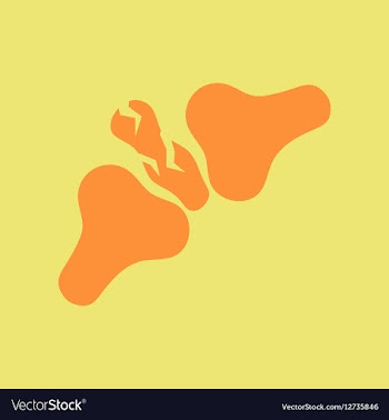 Bone fracture vector image