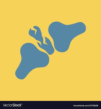 Bone fracture vector image