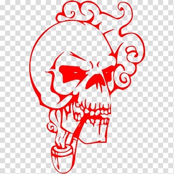 Bone Human skull symbolism Human skeleton , skull transparent background PNG clipart