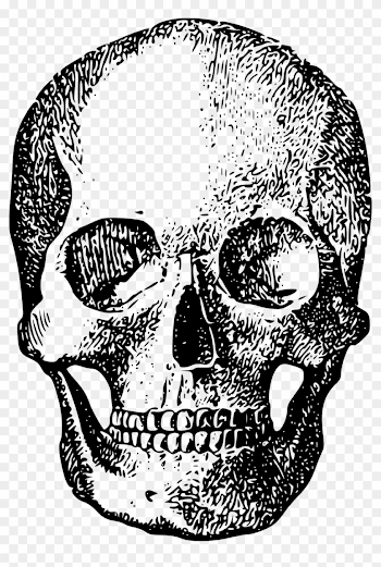 Bone Skeleton Skull Png Image - Calavera Twenty One Pilots ...