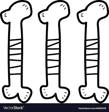 bones
