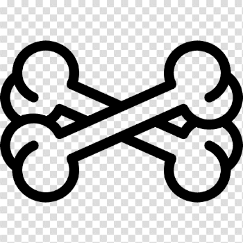 Bones Transparent