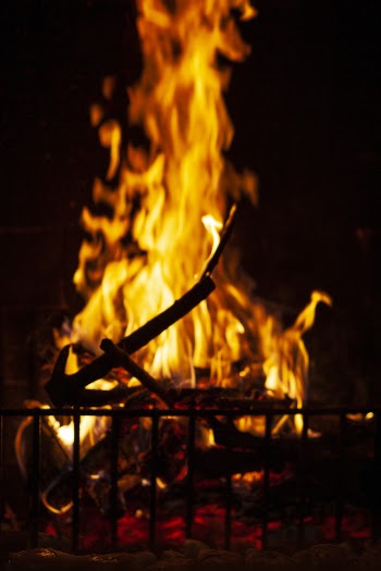 Bonfire Close-up Photo