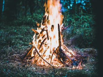 Bonfire on Forest Screengrab