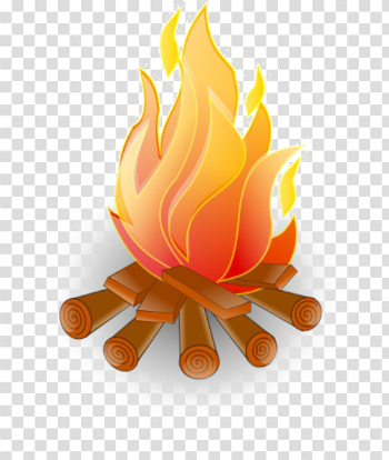 Bonfire PNG Photo