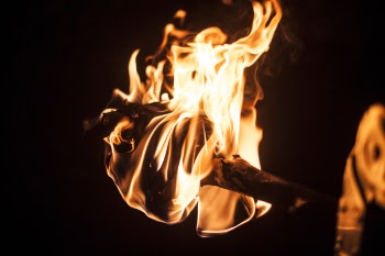 Bonfire Selective-focus Photography