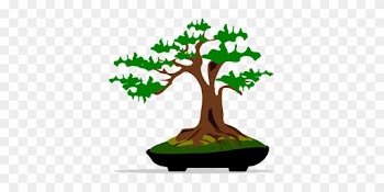 Bonsai, Clip Art, Flora, Nature, Plant - Bonsai Clip Art